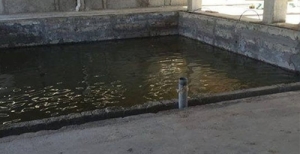 waterproofing of the swimming pool